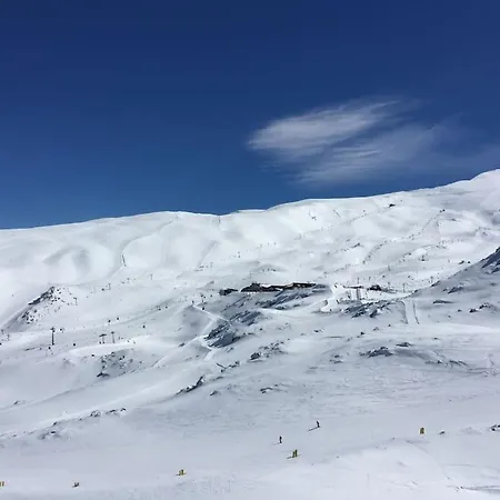 Sunny Impala En Apartamento *